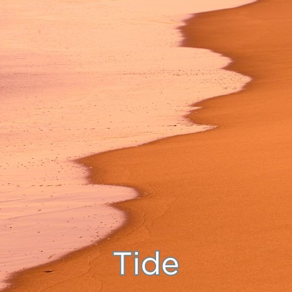 Microfibre Detailing Cloth - Beauty" - Tide