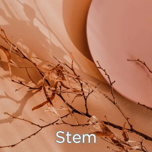 Microfibre Detailing Cloth - Beauty" - Stem