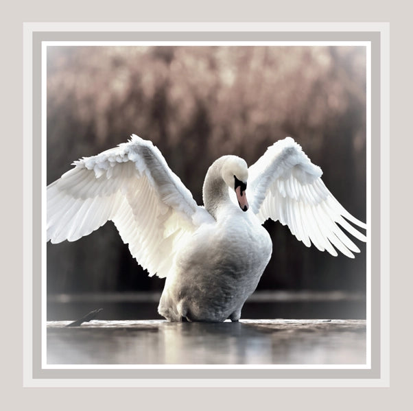 Swan Luncheon Paper Napkin