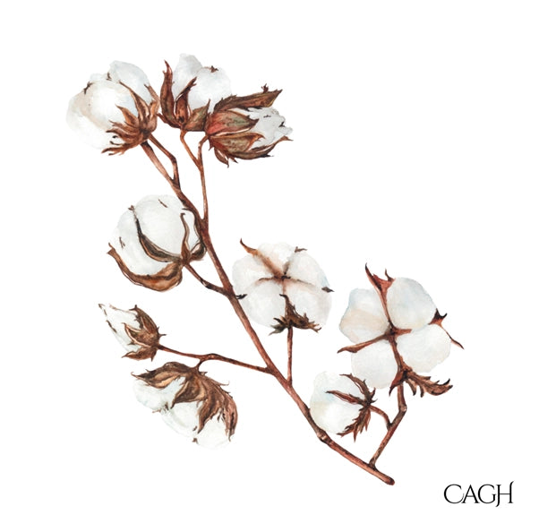 Cotton Luncheon Paper Napkin